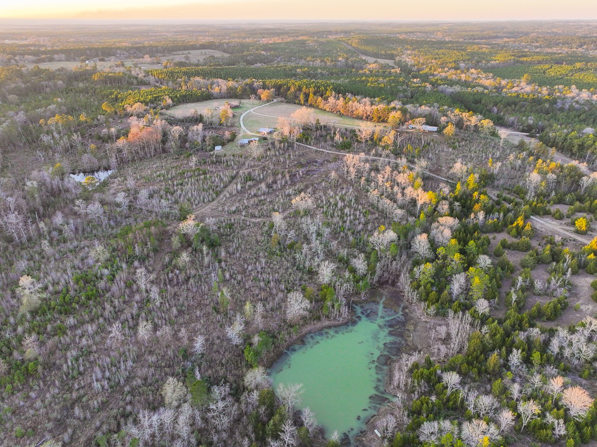 301 Paul Poe Road Livingston, TX 77351 - Photo 7 of 49