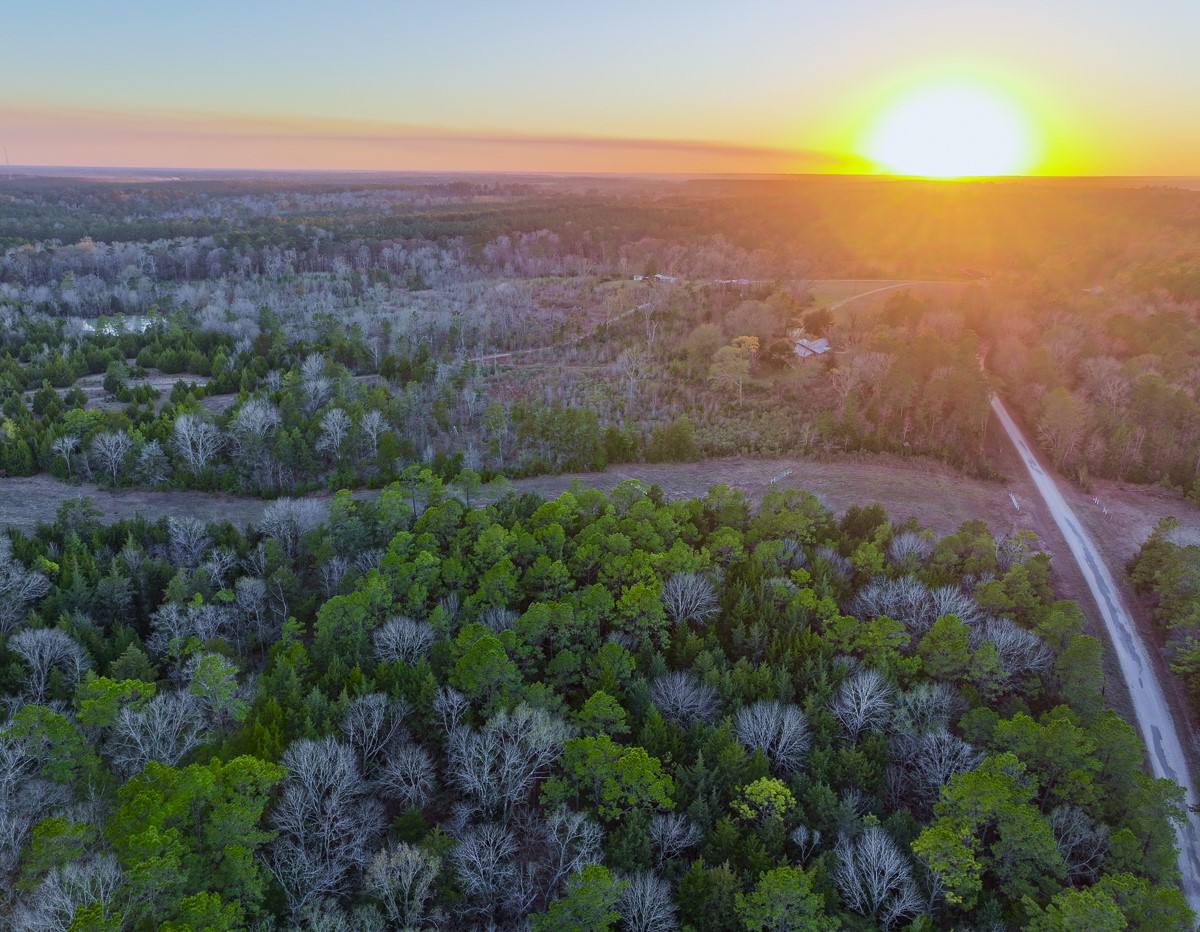 301 Paul Poe Road Livingston, TX 77351 - Photo 8 of 49