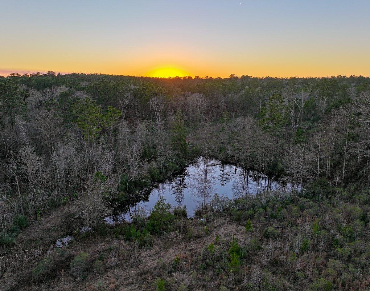 301 Paul Poe Road Livingston, TX 77351 - Photo 9 of 49