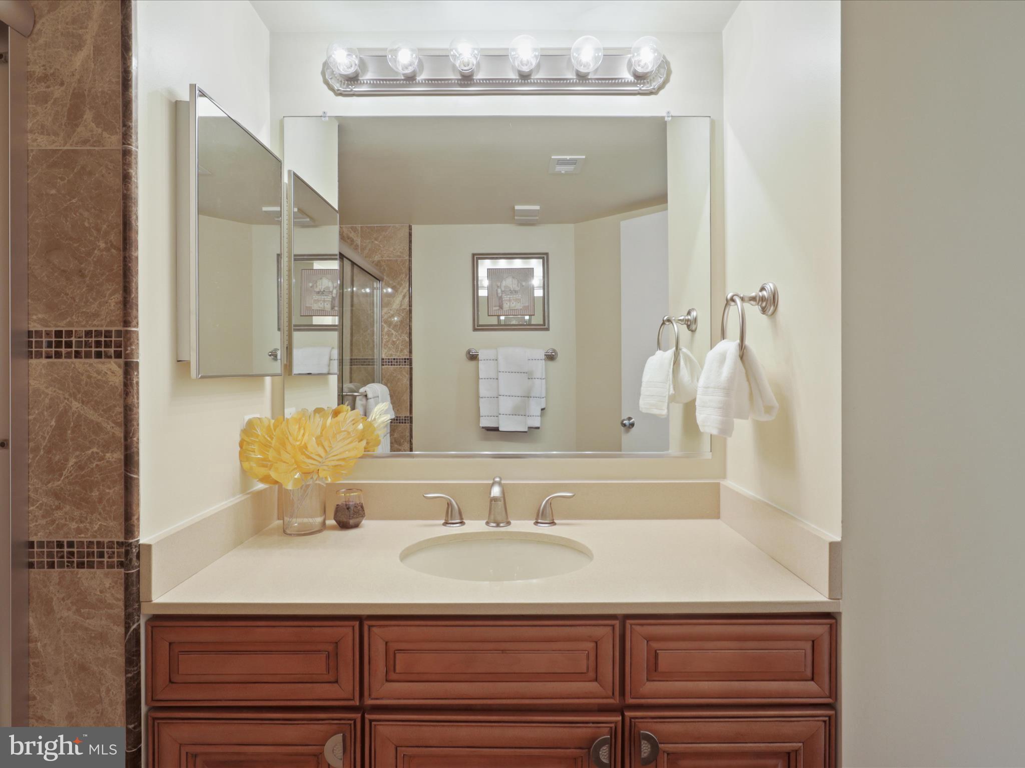 5505 Seminary Road, Unit 1810N Falls Church, VA 22041 - Photo 22 of 48