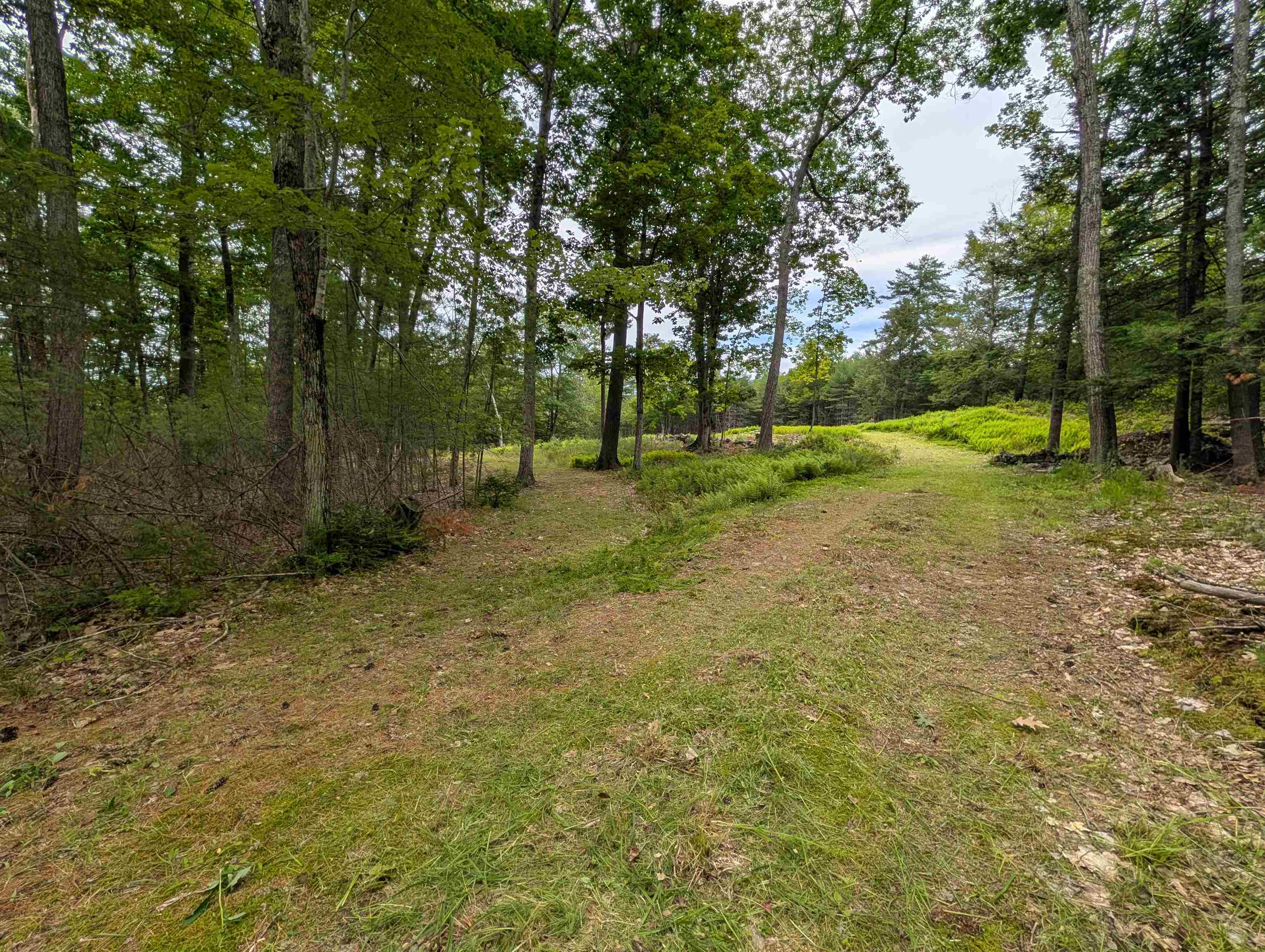 70 High Ridge Road Moultonborough, NH 03254 - Photo 3 of 37