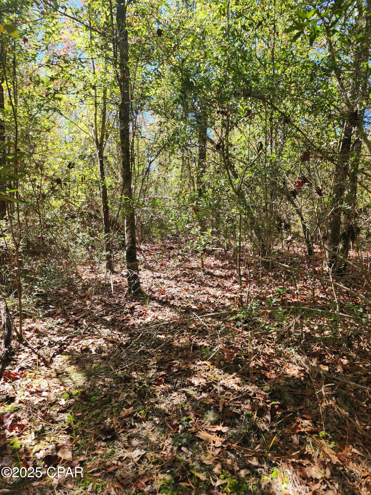 0 Pineridge Church Road Marianna, FL 32448 - Photo 23 of 33