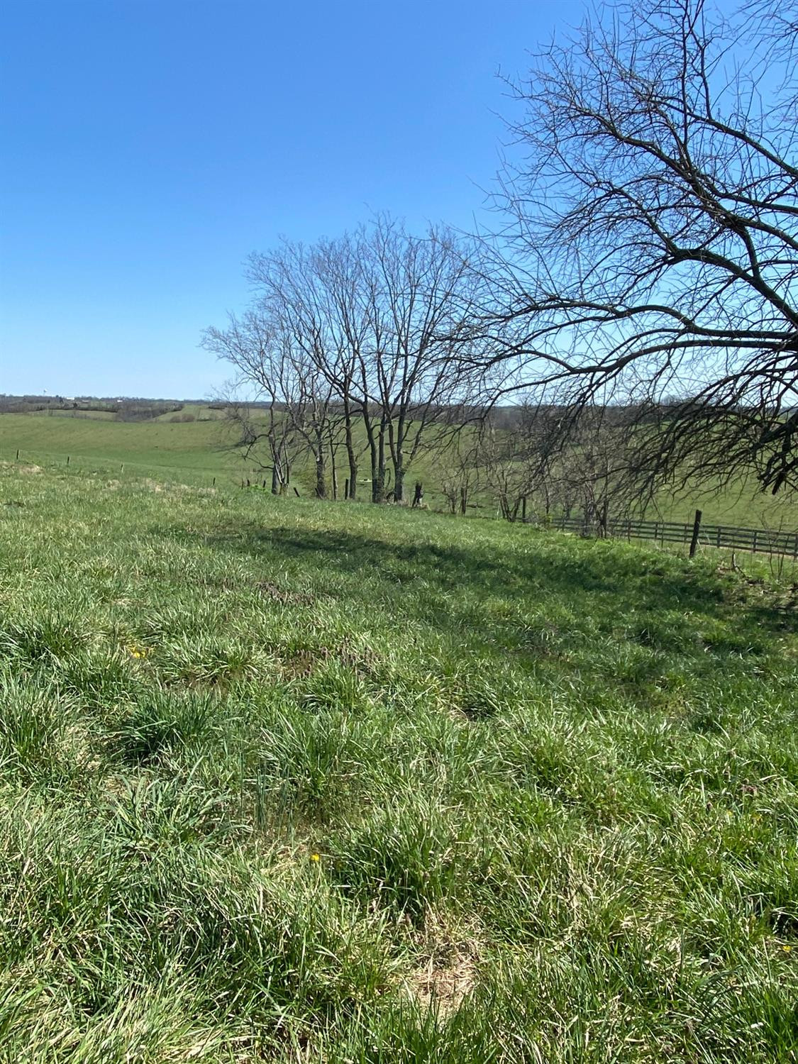 3450 Cane Ridge Road Paris, KY 40361 - Photo 35 of 72 Photo 35