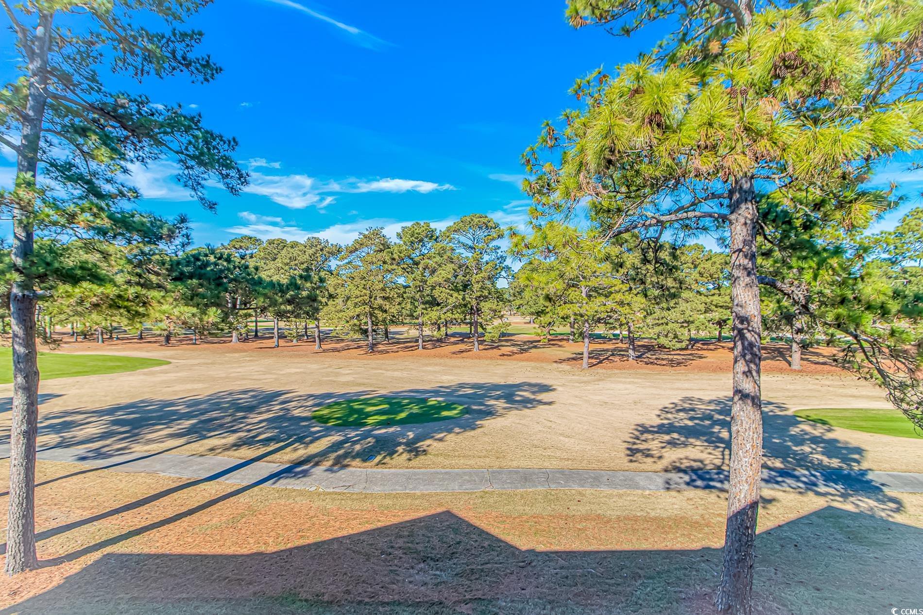 4647 Wild Iris Drive, Unit 303 Myrtle Beach, SC 29577 - Photo 24 of 29 View of yard