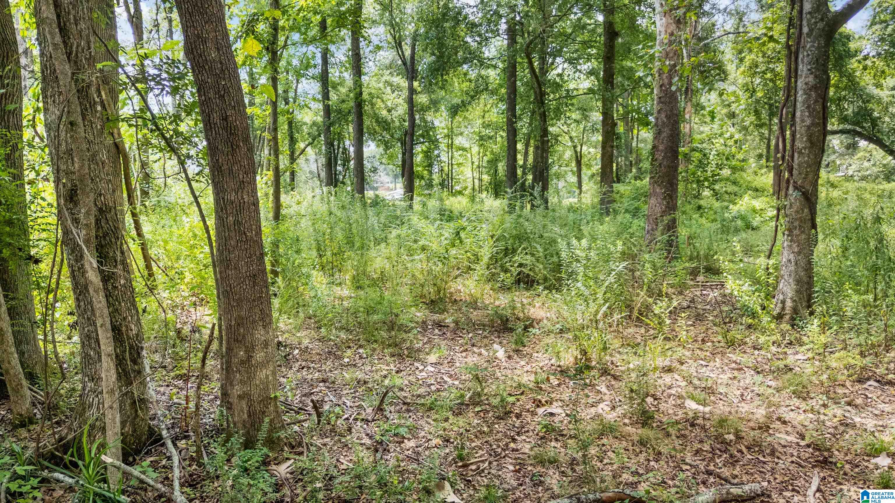 Lot 7 Hebb Road, Unit 7A Wilsonville, AL 35186 - Photo 29 of 29 Gallery Image 29