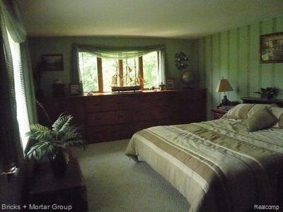 8220 Secor Road Lambertville, MI 48144 - Photo 29 of 40 frank33.jpg