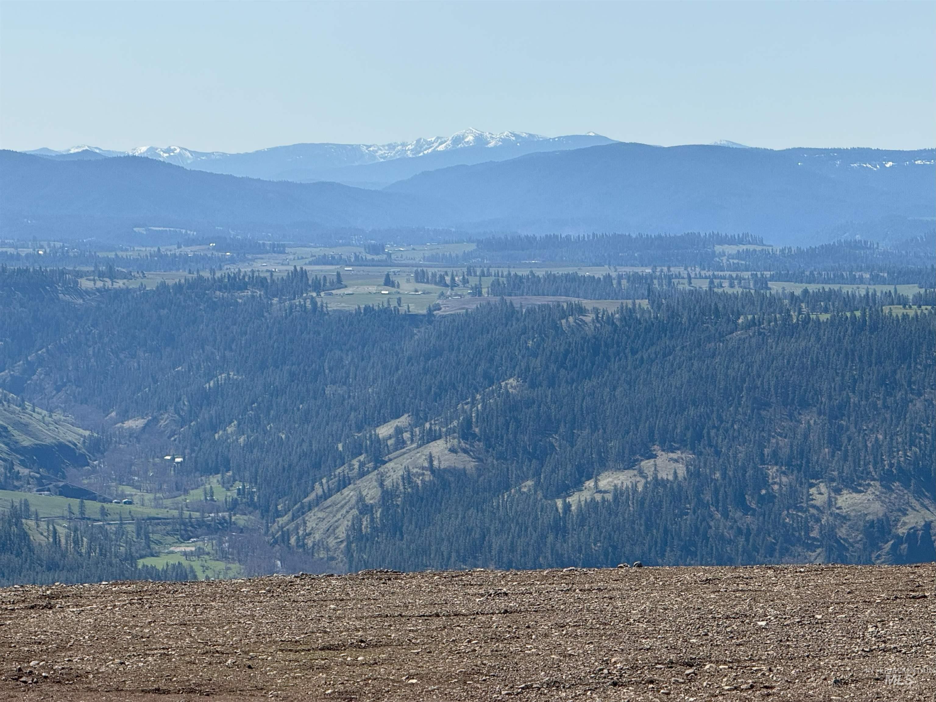 207 Amber Avenue Kooskia, ID 83539 - Photo 3 of 32