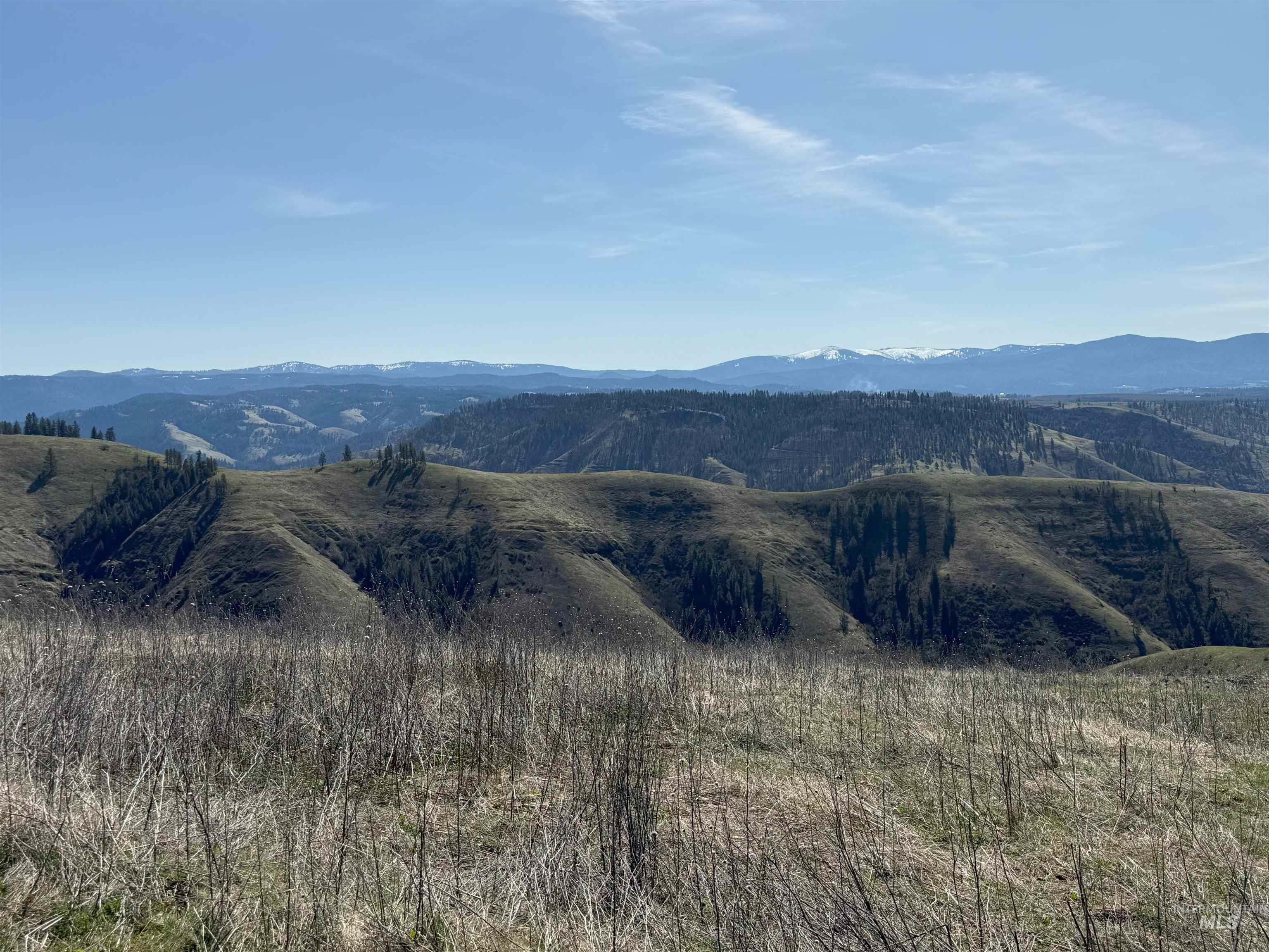 207 Amber Avenue Kooskia, ID 83539 - Photo 10 of 32