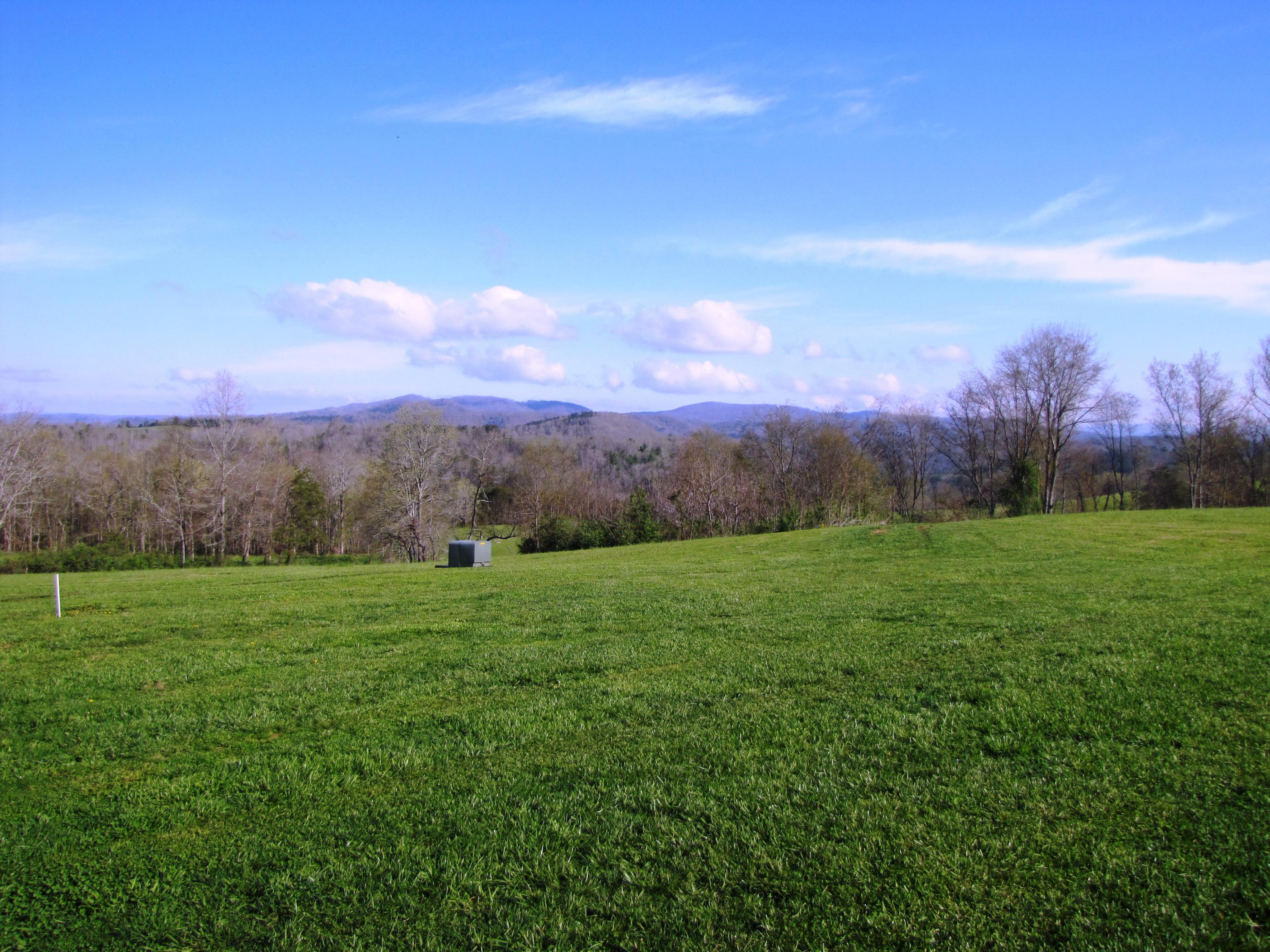 White Tree Hill Road Ballard, WV 24918 - Photo 6 of 36 Gallery Image 6