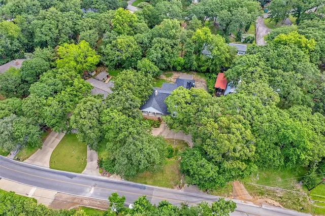 a view of a tree with a yard
