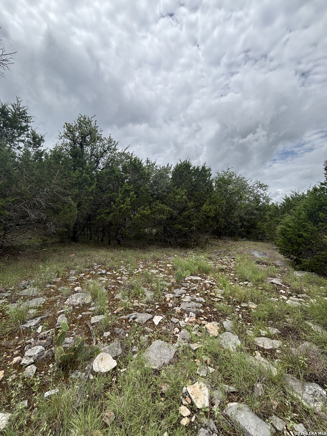 1328 Powder Ridge New Braunfels, TX 78132 - Photo 7 of 16