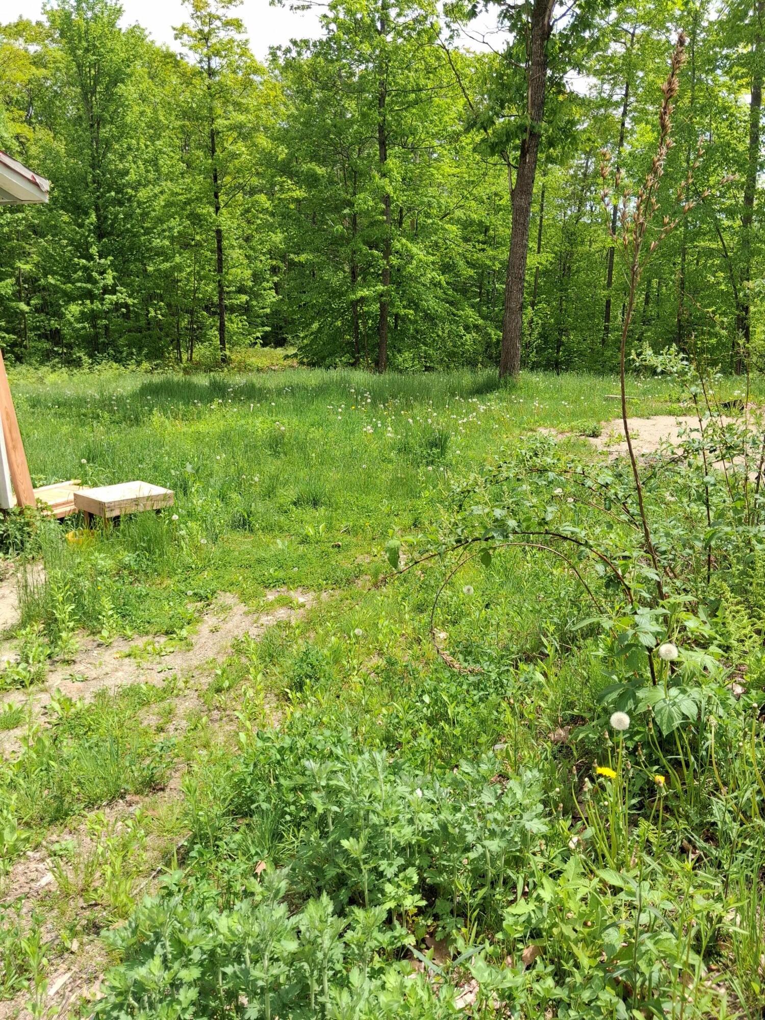 209 Adams Road Chesterville, ME 04938 - Photo 8 of 9 Land