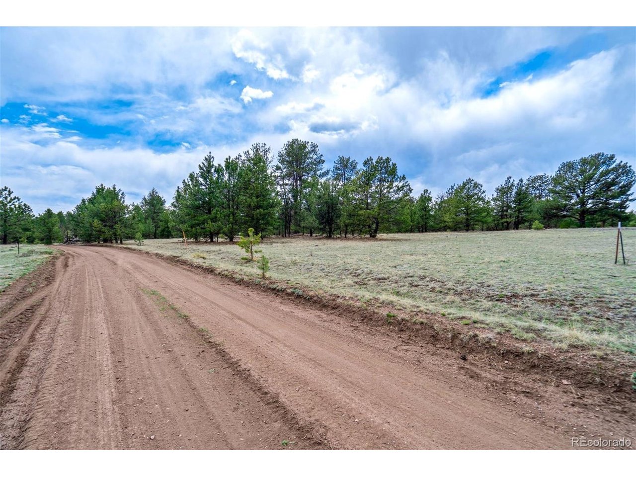 103 Doe Valley Road Guffey, CO 80820 - Photo 8 of 46