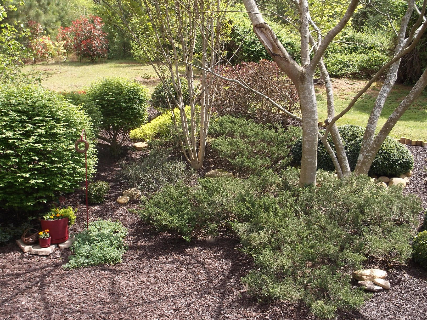 4612 Meredith Road Knoxville, TN 37921 - Photo 7 of 26 4612 Meredith Update 013