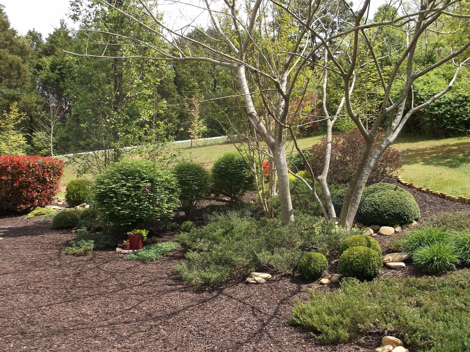 4612 Meredith Road Knoxville, TN 37921 - Photo 8 of 26 4612 Meredith Update 014
