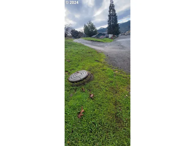 a view of a bird bath room