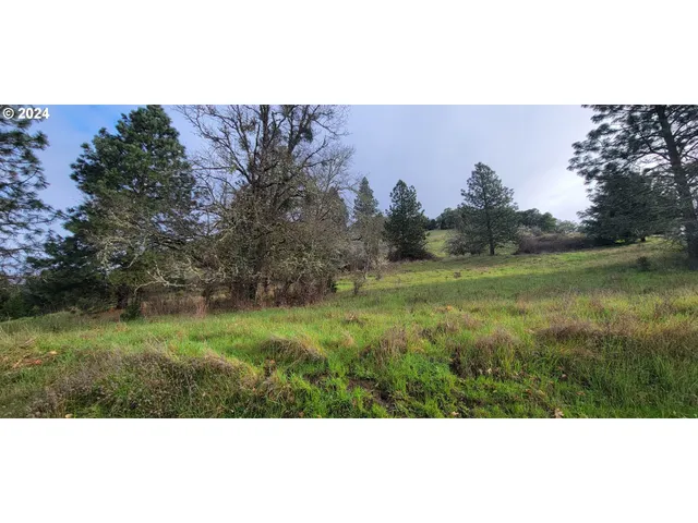 a view of a field with trees in background