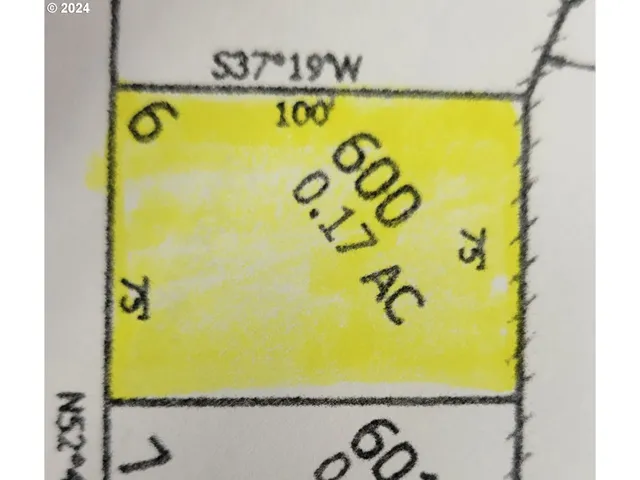 a view of a lake in middle of forest