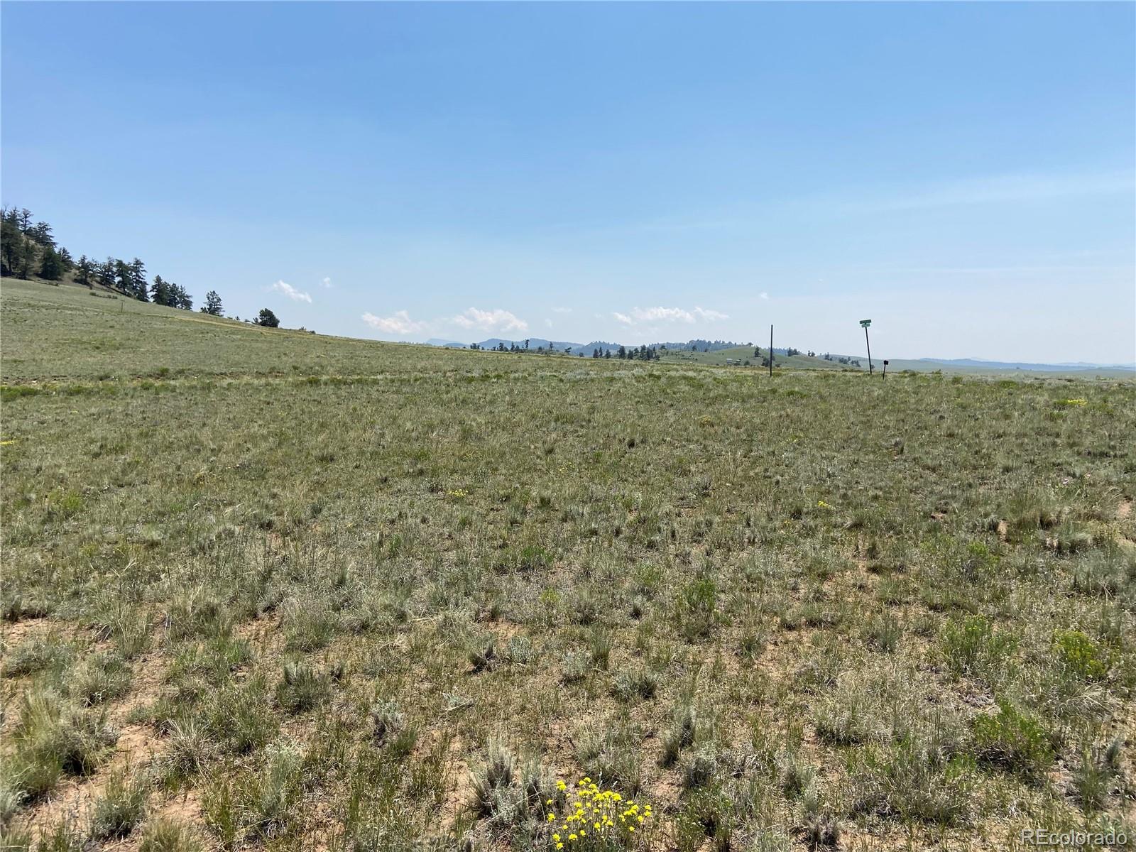 Guipago Trail Hartsel, CO 80449 - Photo 2 of 4