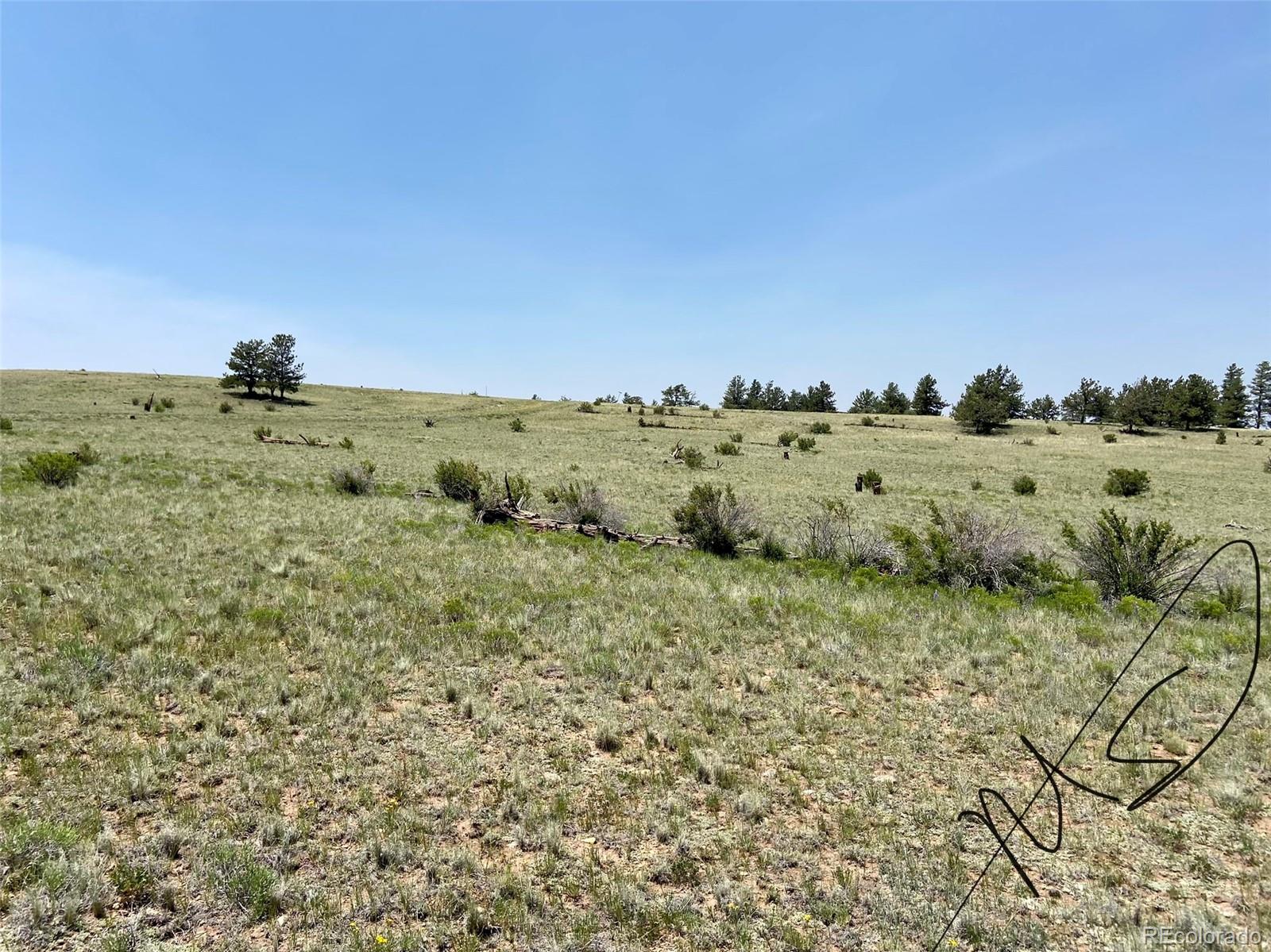 Guipago Trail Hartsel, CO 80449 - Photo 3 of 4