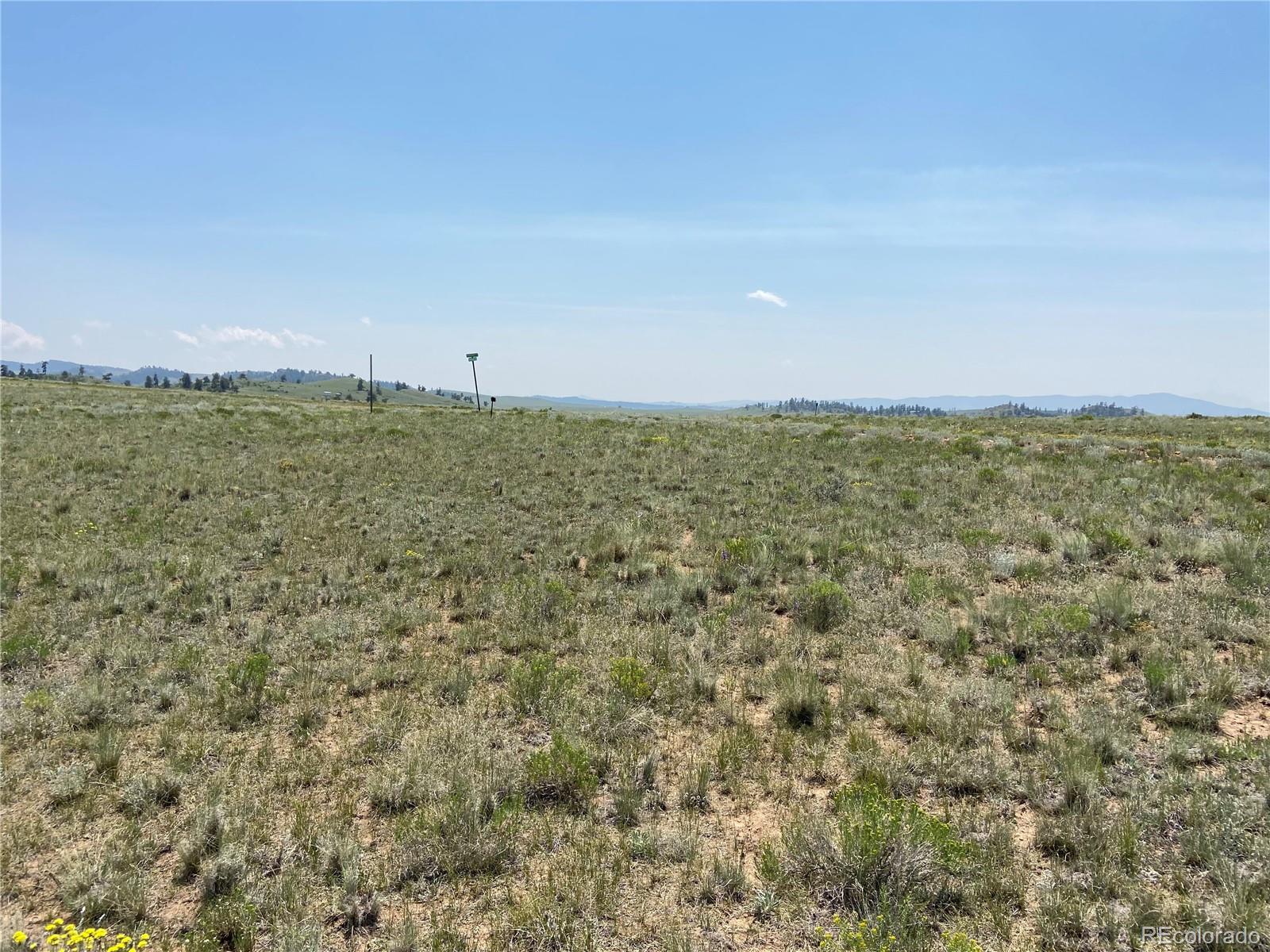 Guipago Trail Hartsel, CO 80449 - Photo 4 of 4