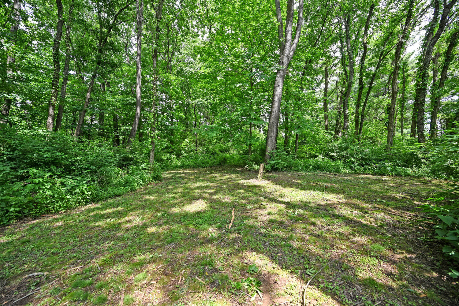 1044 Merrell Road Hebron, KY 41048 - Photo 44 of 46
