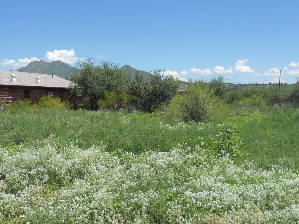 1219 West Frontage Road Rio Rico, AZ 85648 - Photo 1 of 1