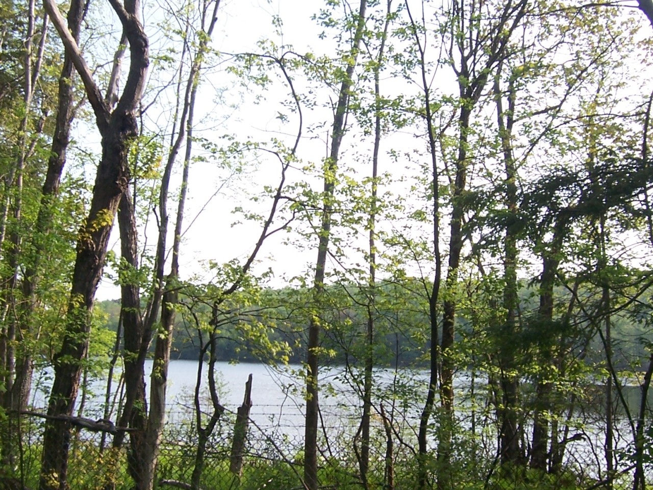 962 Plumb Road Becket, MA 01223 - Photo 7 of 7 a view of mountain view with lots of trees