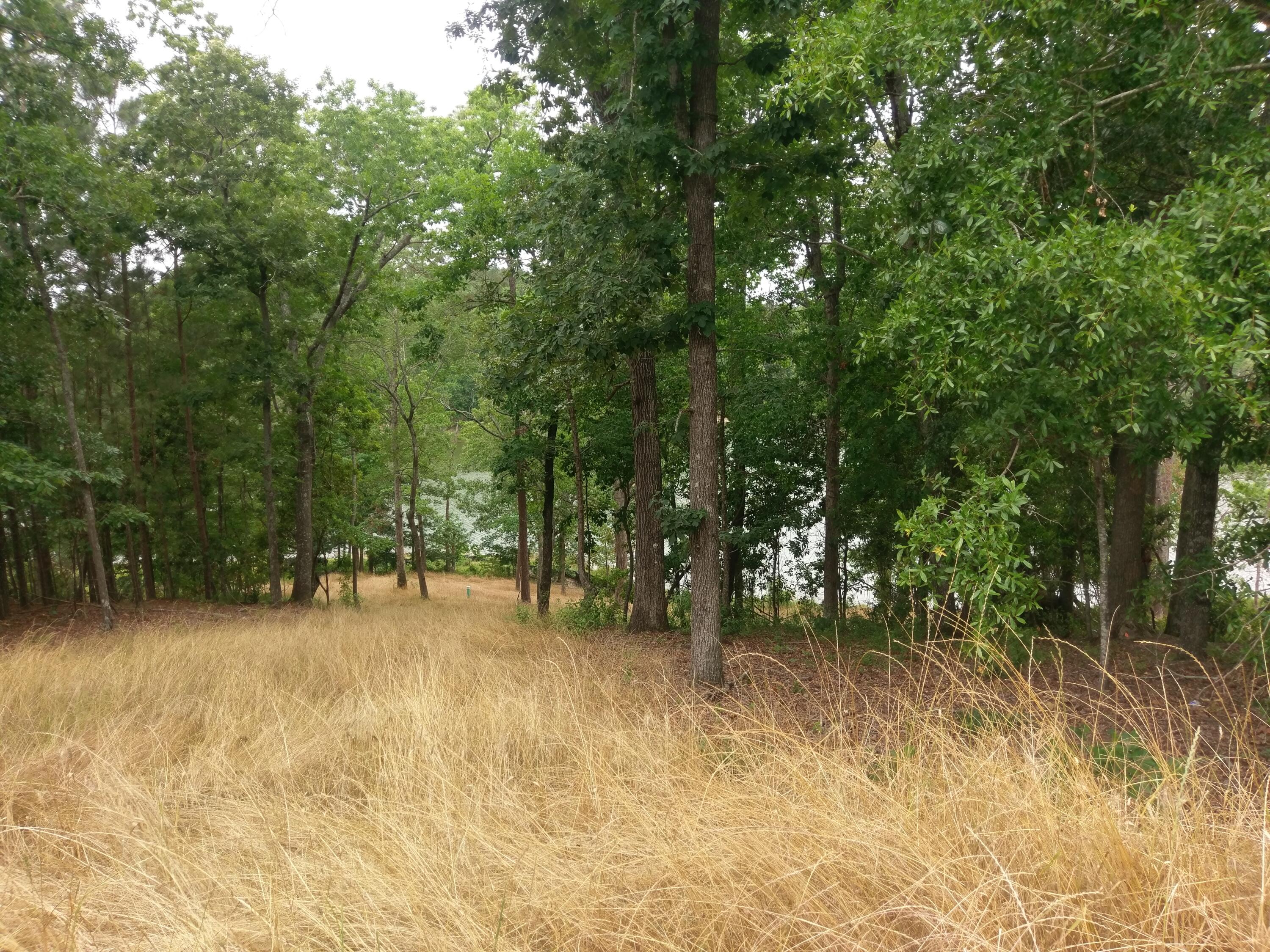 Lot 14 River Birch Road North Augusta, SC 29841 - Photo 2 of 2