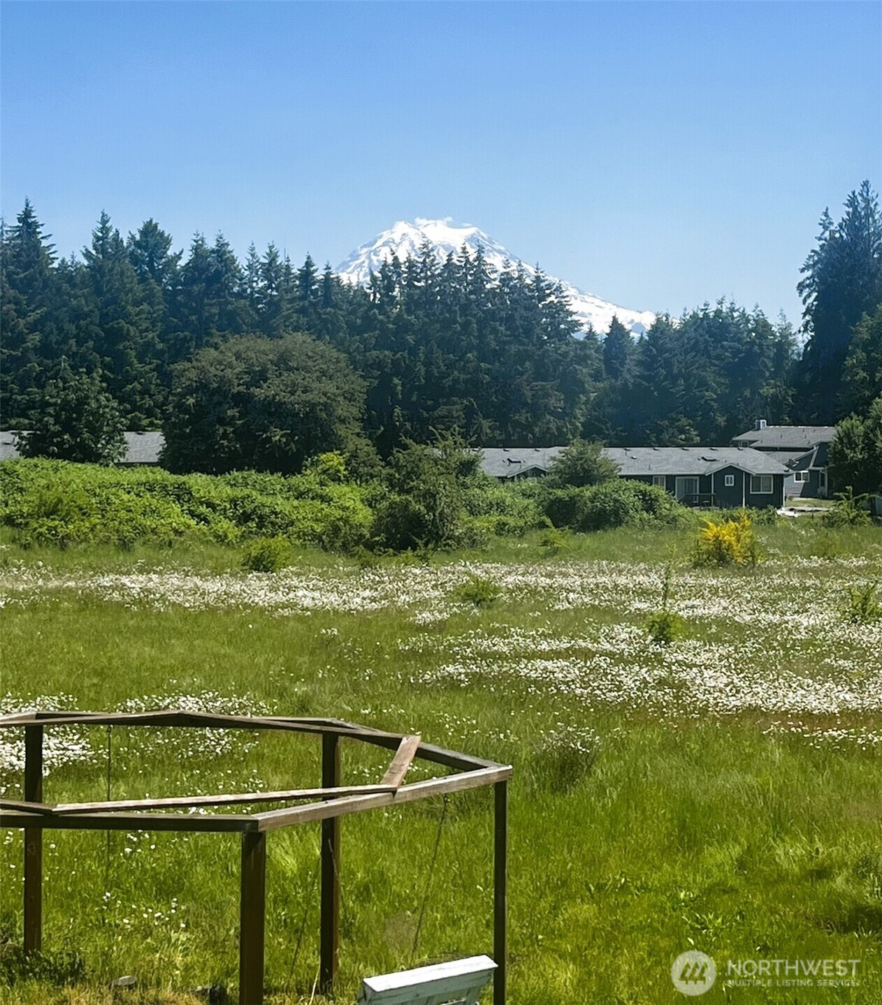 24507 Meridian East Graham, WA 98338 - Photo 32 of 38 a view of a lake from a yard