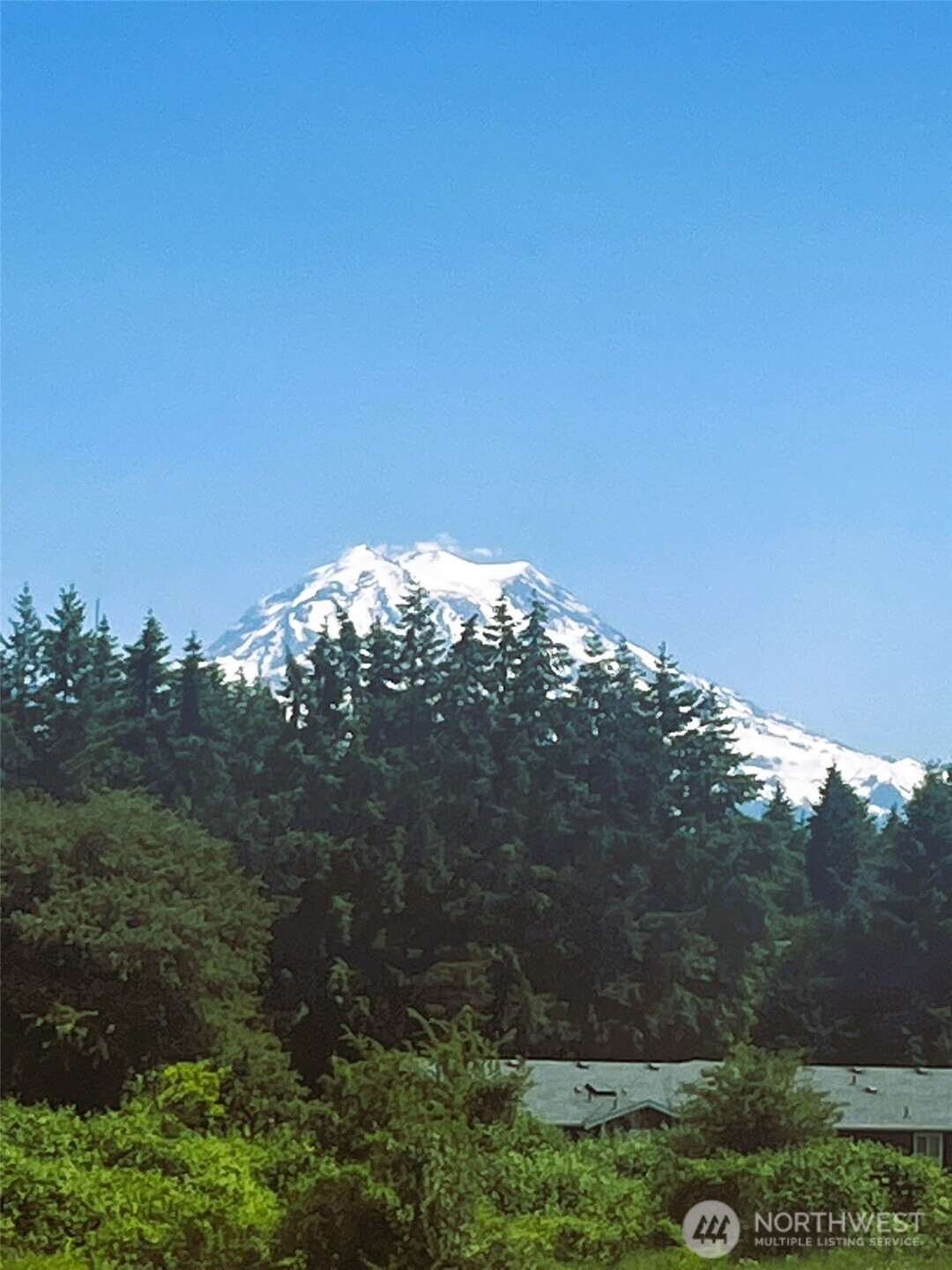 24507 Meridian East Graham, WA 98338 - Photo 35 of 38 a backyard of a house