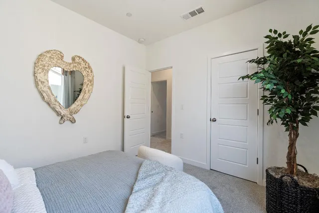 a bedroom with a bed and walk in closet