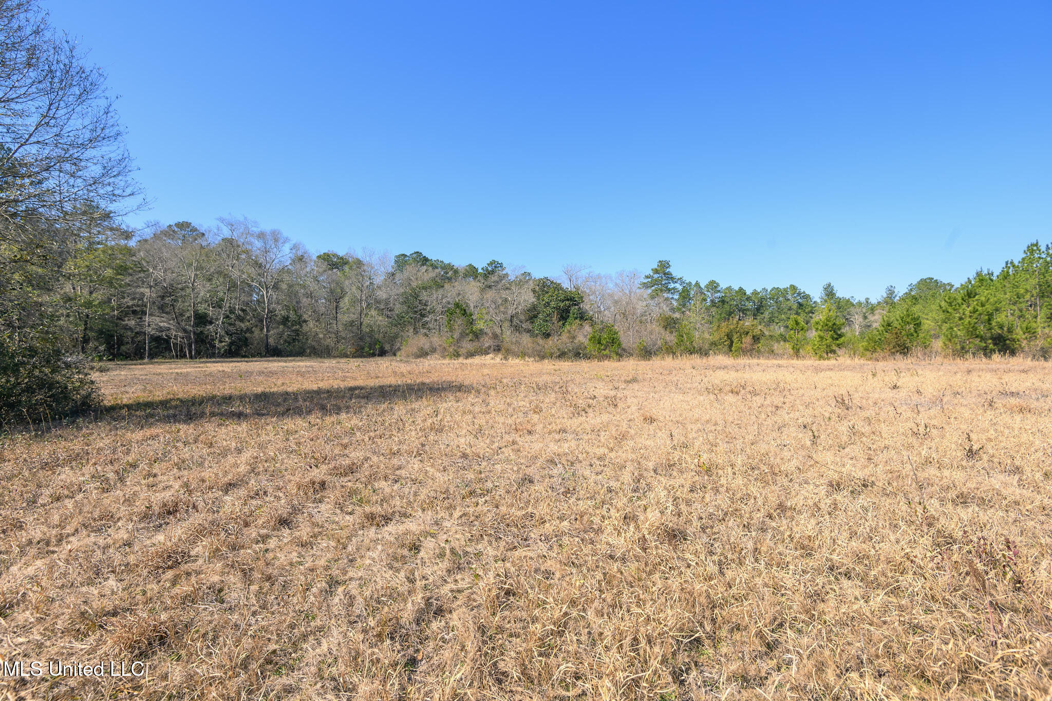 5295 Agricola Latonia Road Lucedale, MS 39452 - Photo 13 of 50 agricolalatonia5295-23