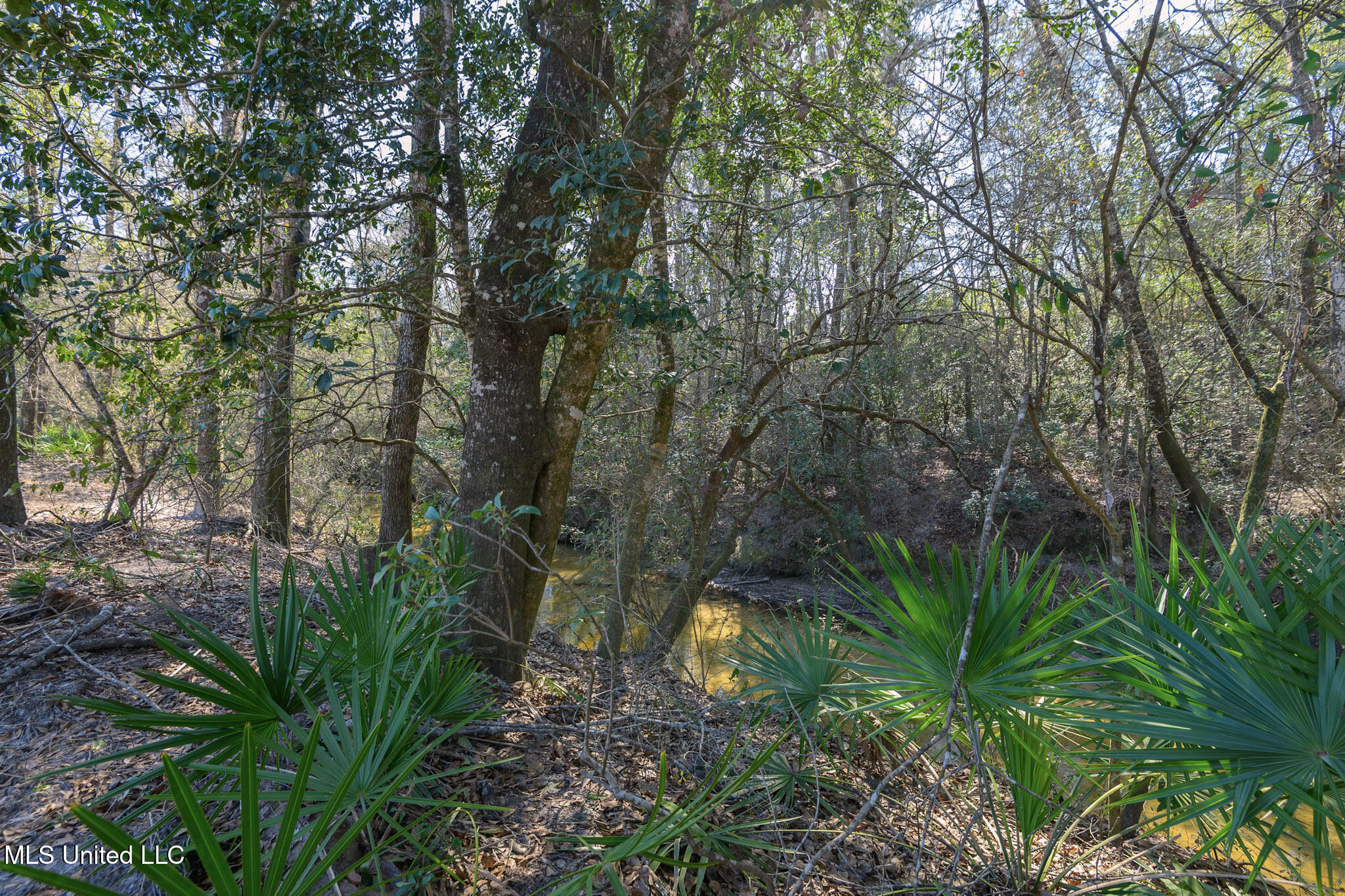 5295 Agricola Latonia Road Lucedale, MS 39452 - Photo 16 of 50 agricolalatonia5295-26