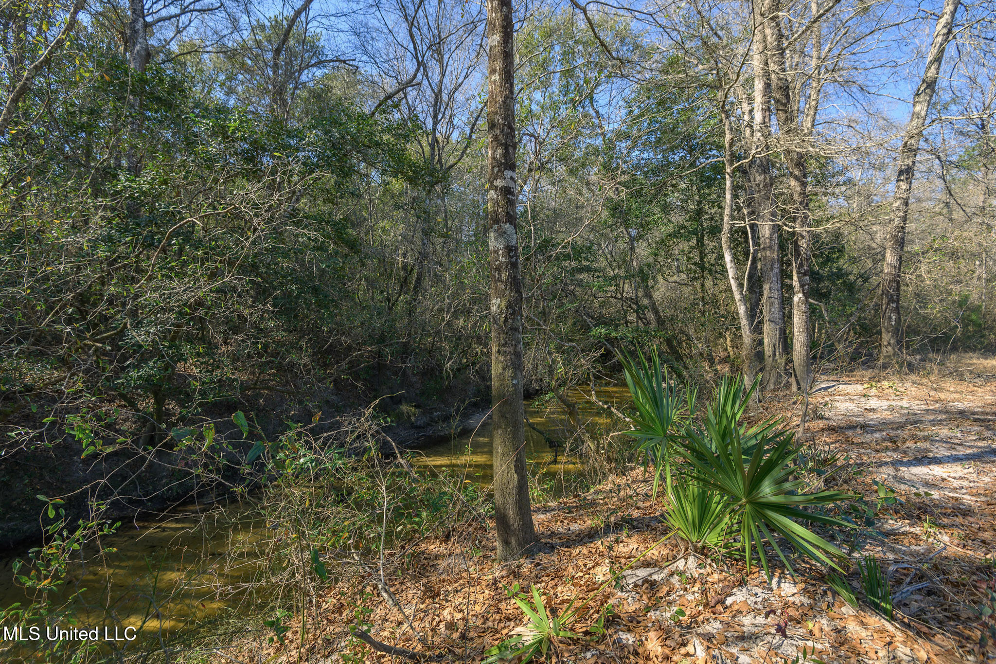 5295 Agricola Latonia Road Lucedale, MS 39452 - Photo 17 of 50 agricolalatonia5295-27