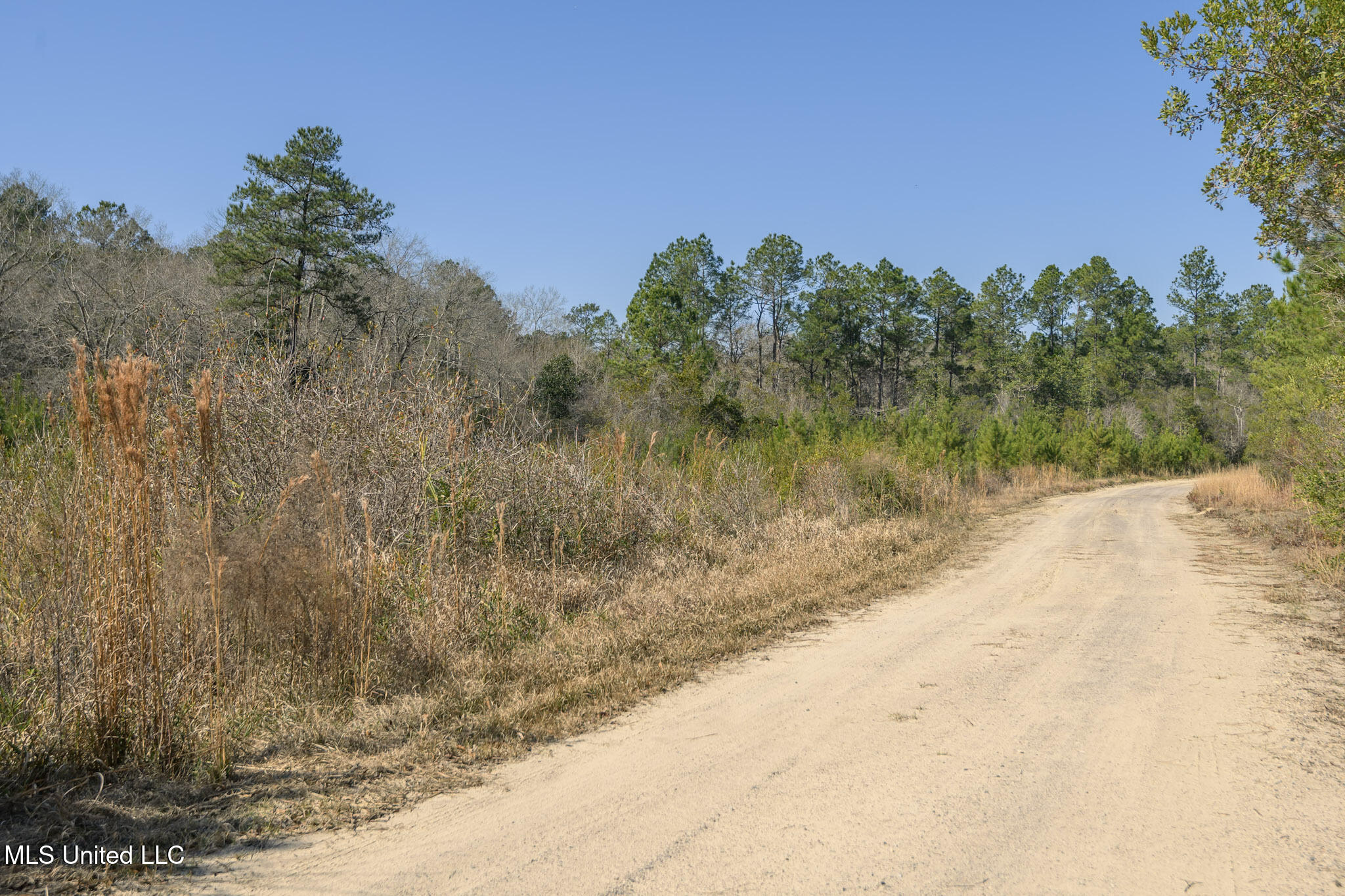 5295 Agricola Latonia Road Lucedale, MS 39452 - Photo 20 of 50 agricolalatonia5295-30