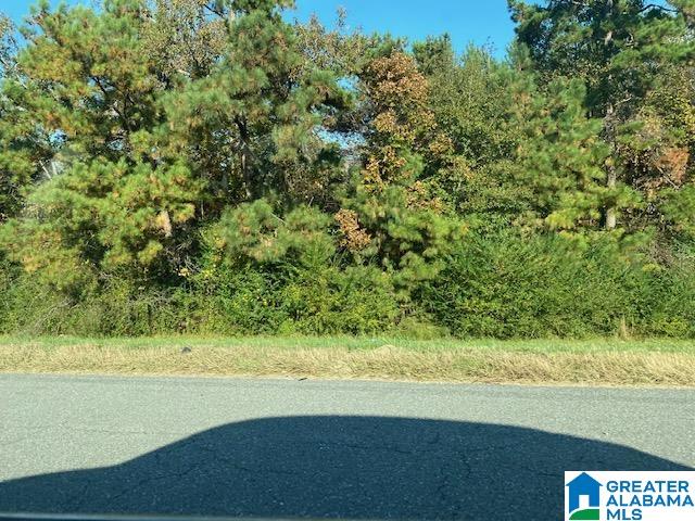 0 Montevallo Road Alabaster, AL 35007 - Photo 1 of 7