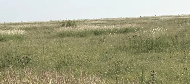 $542,700 | Undisclosed Address, Hereford, TX 79045