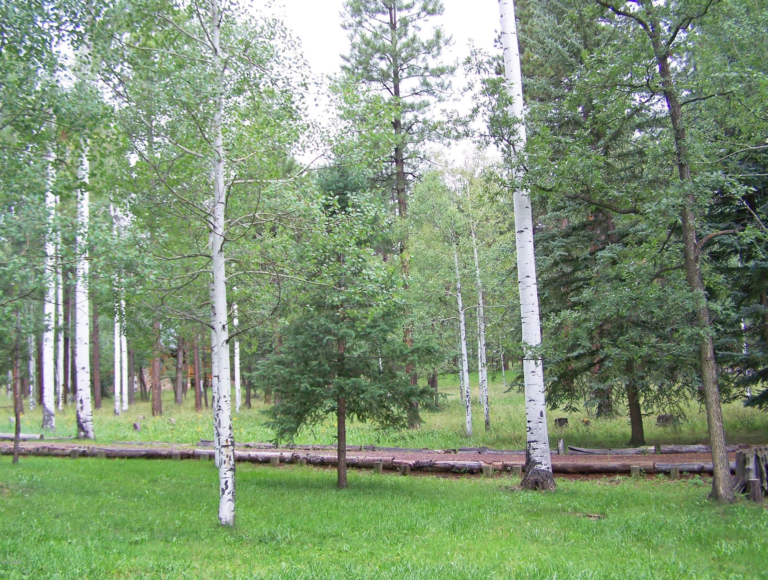 16 County Road Springerville, AZ 85938 - Photo 7 of 27