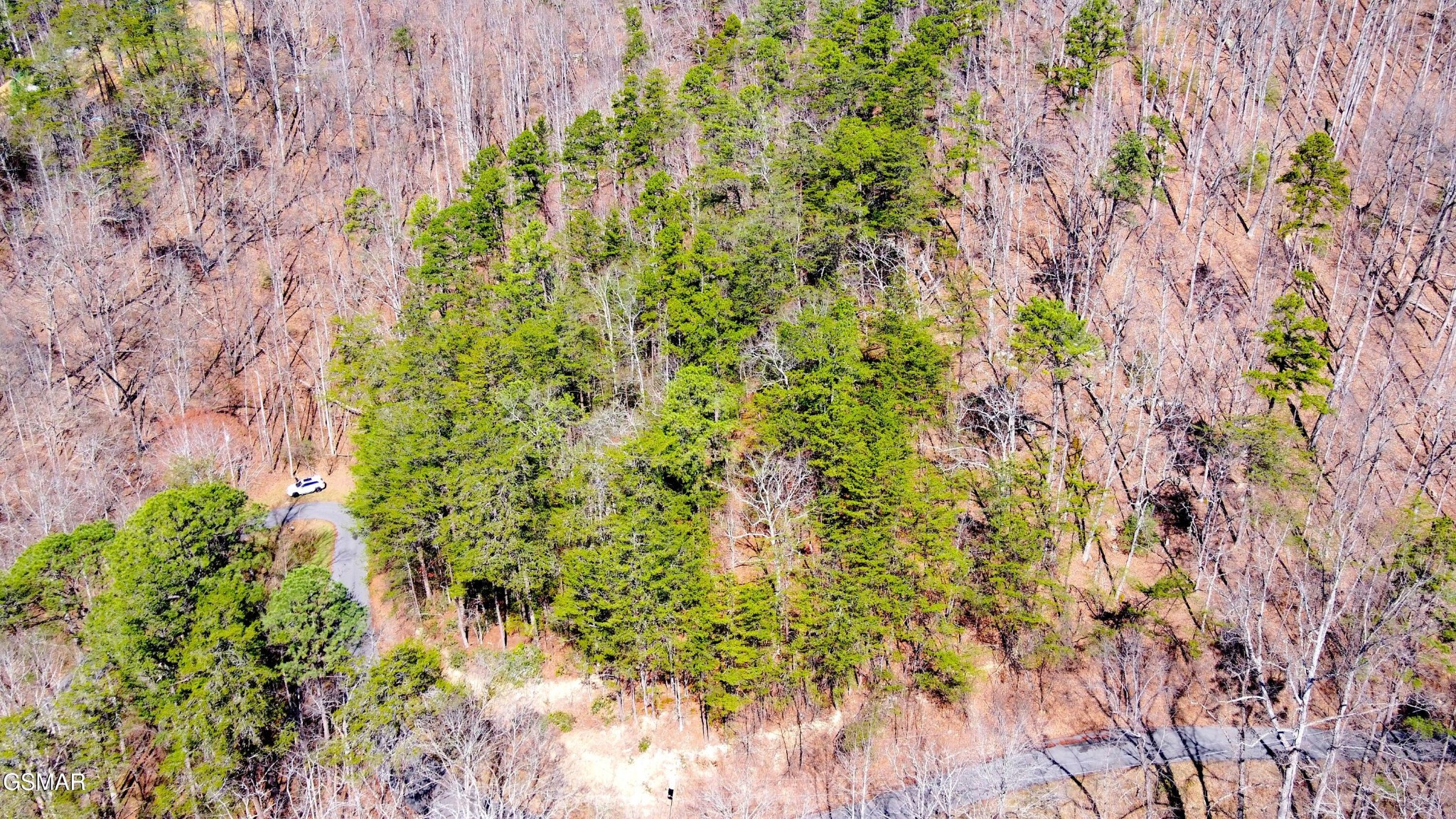 4 Walden Ridge Road Sevierville, TN 37862 - Photo 8 of 20 Gallery Image 8