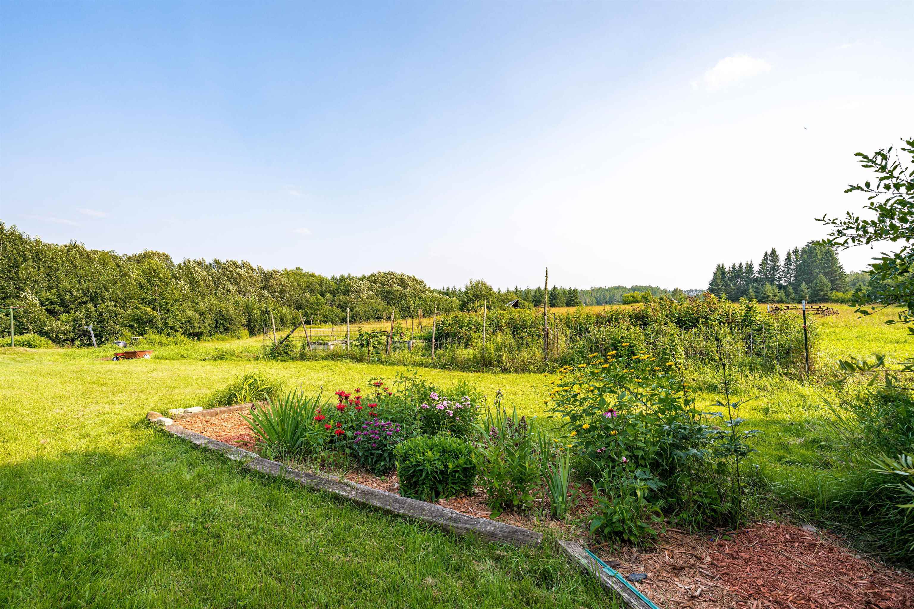 374 Nelson Road Cloquet, MN 55720 - Photo 27 of 33 View of green lawn featuring a rural view and a forest view