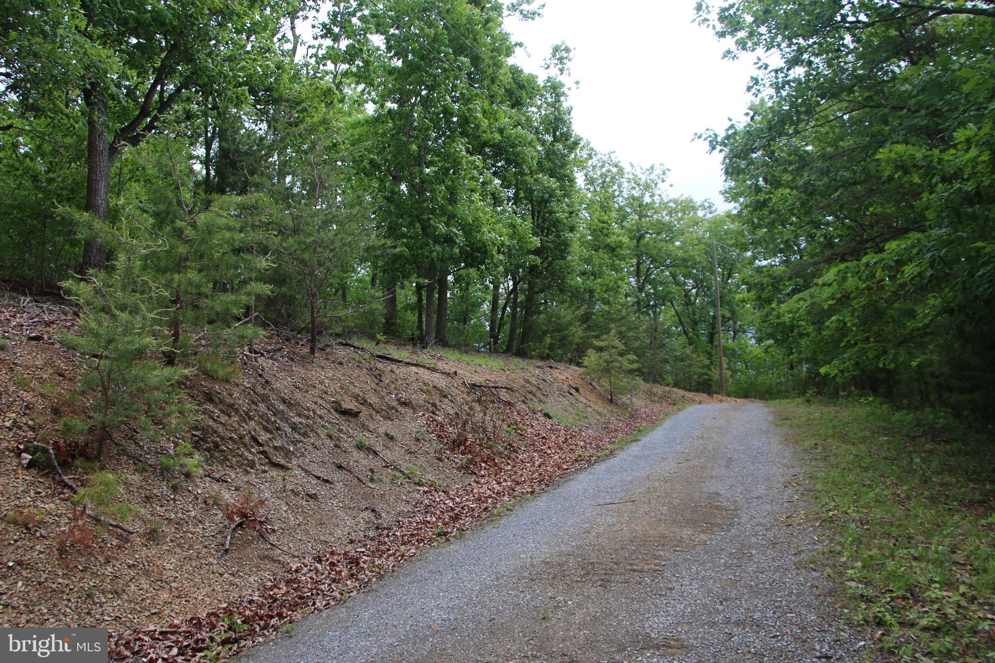 Lighthouse Lane Shenandoah, VA 22849 - Photo 1 of 25