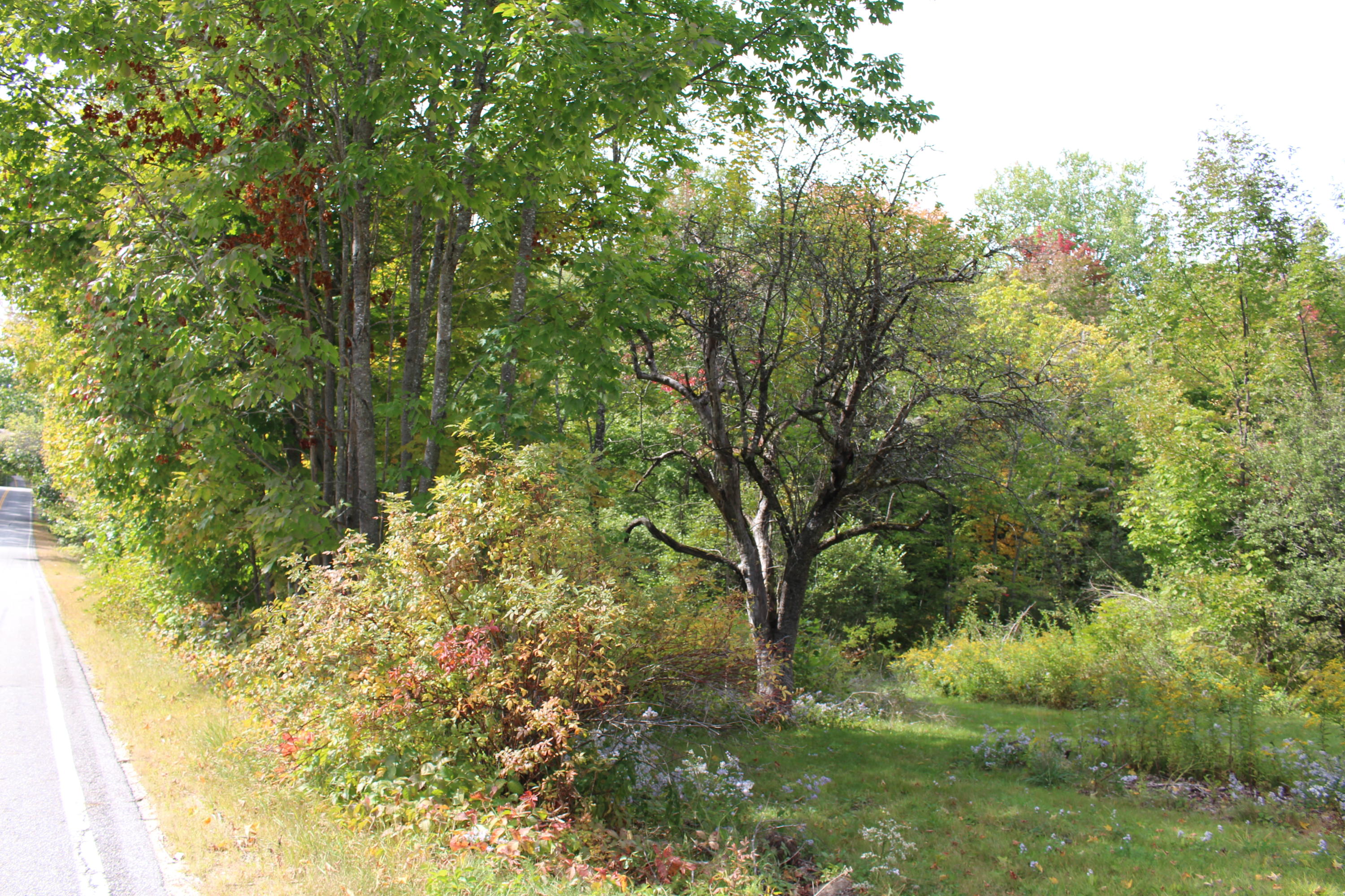 285 B Sweden Road Waterford, ME 04088 - Photo 1 of 14 IMG_0933