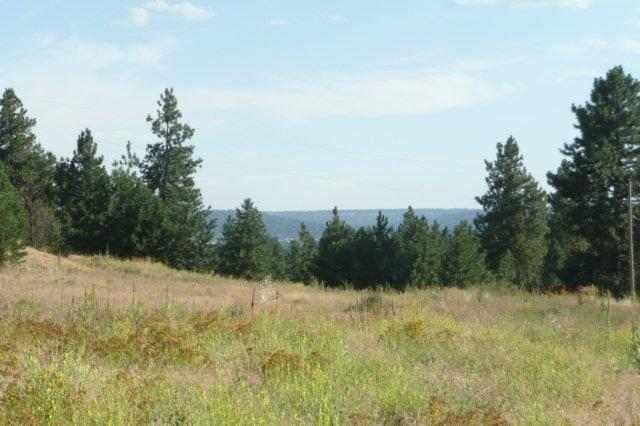 7624 North Austin Road Spokane, WA 99208 - Photo 4 of 6 Gallery Image 4