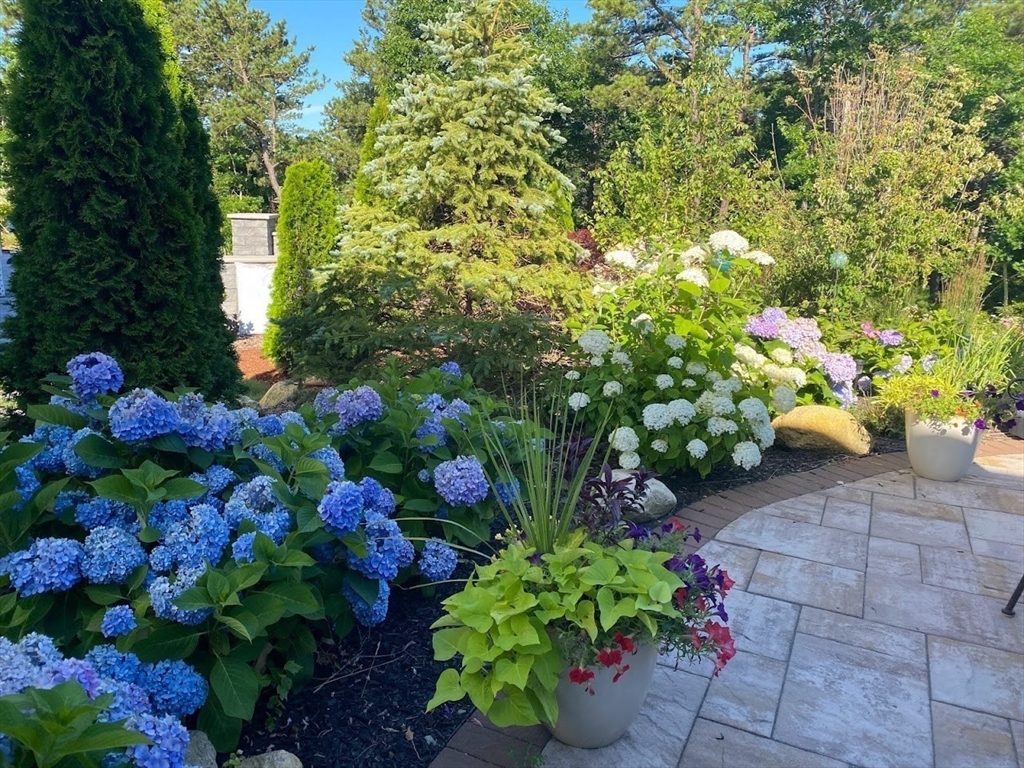 45 Snapping Bow Plymouth, MA 02360 - Photo 2 of 41