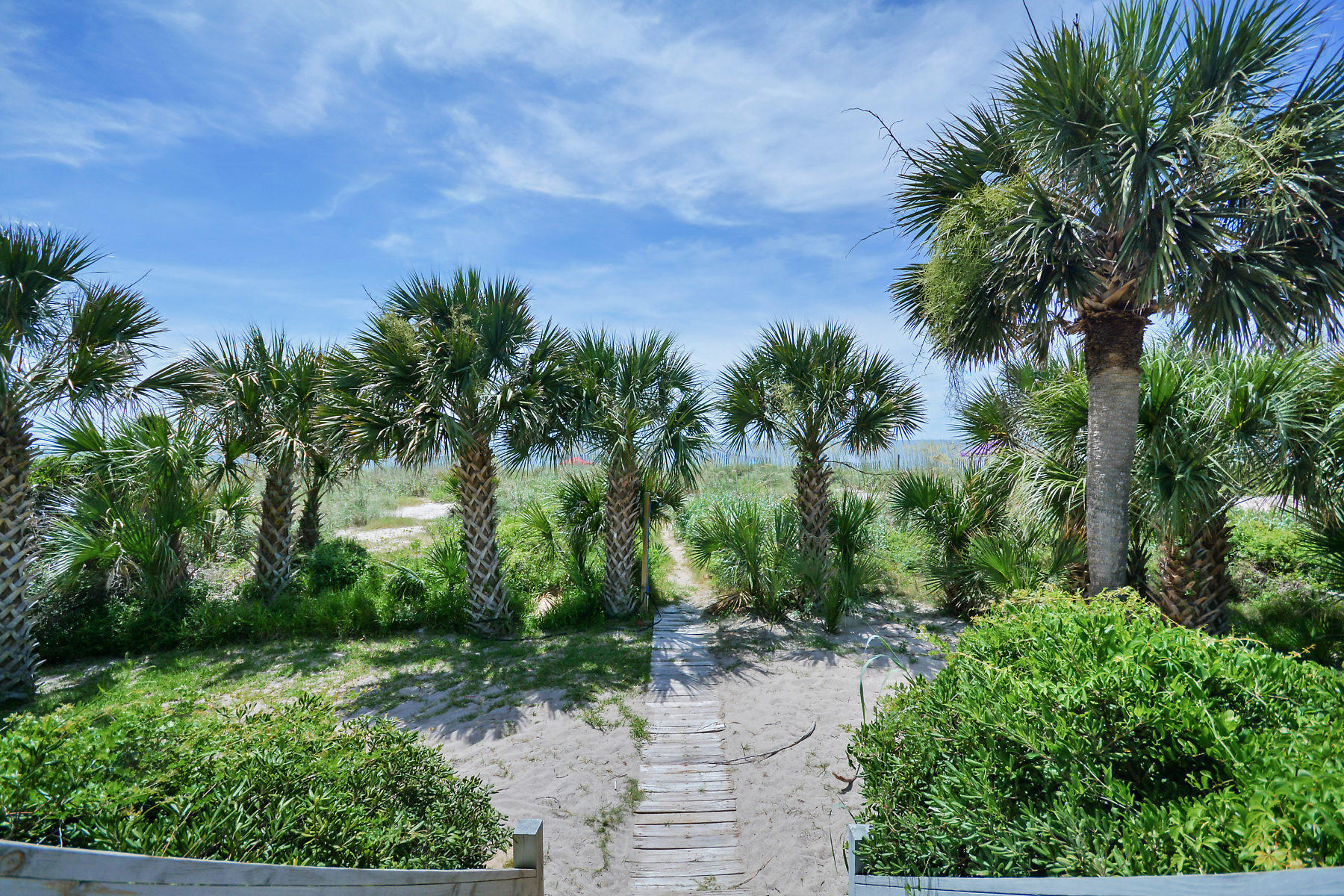 2604 Point Street Edisto Beach, SC 29438 - Photo 5 of 55 DSC_3030-SMALL