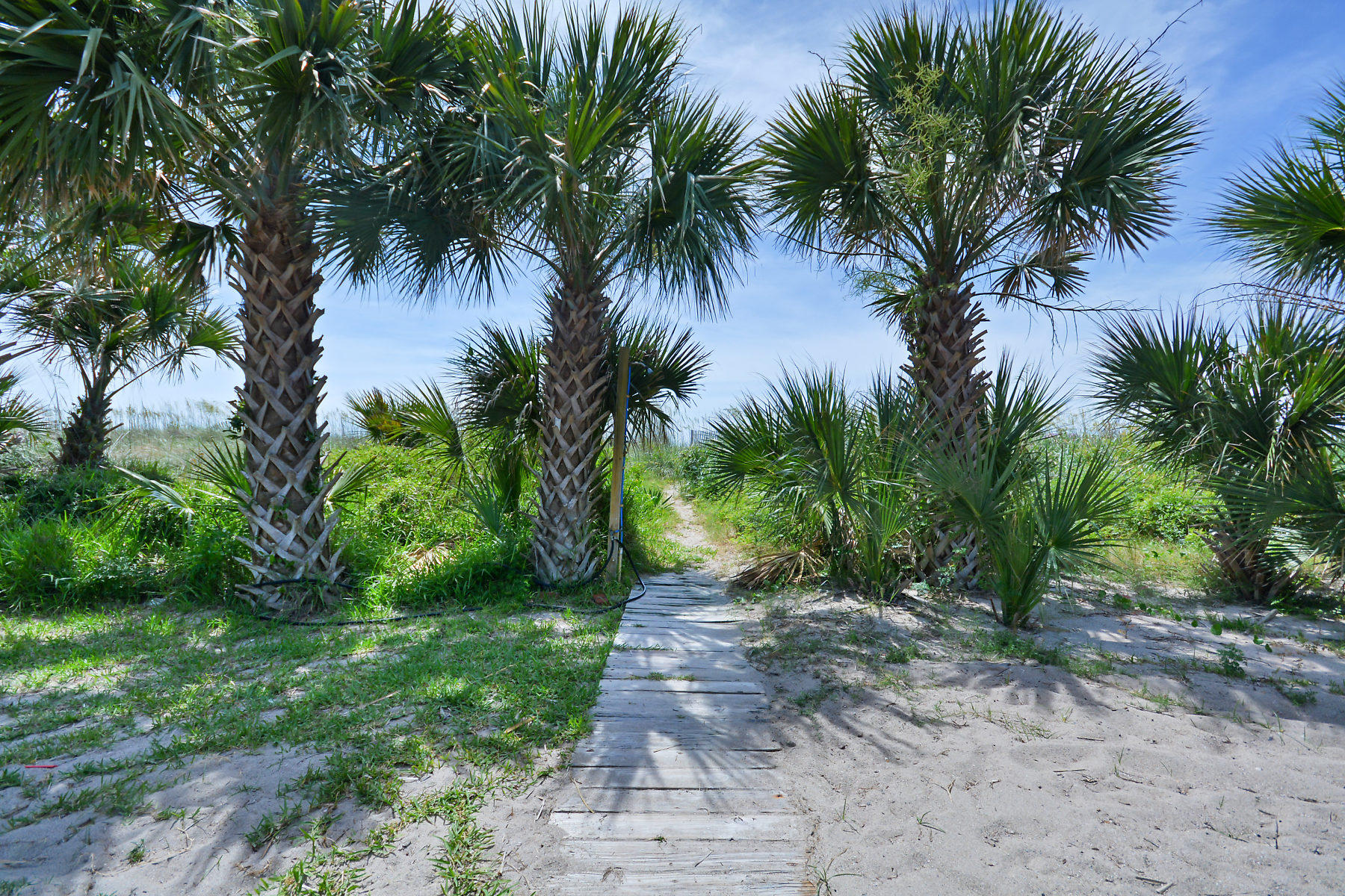 2604 Point Street Edisto Beach, SC 29438 - Photo 9 of 55 DSC_3016-SMALL