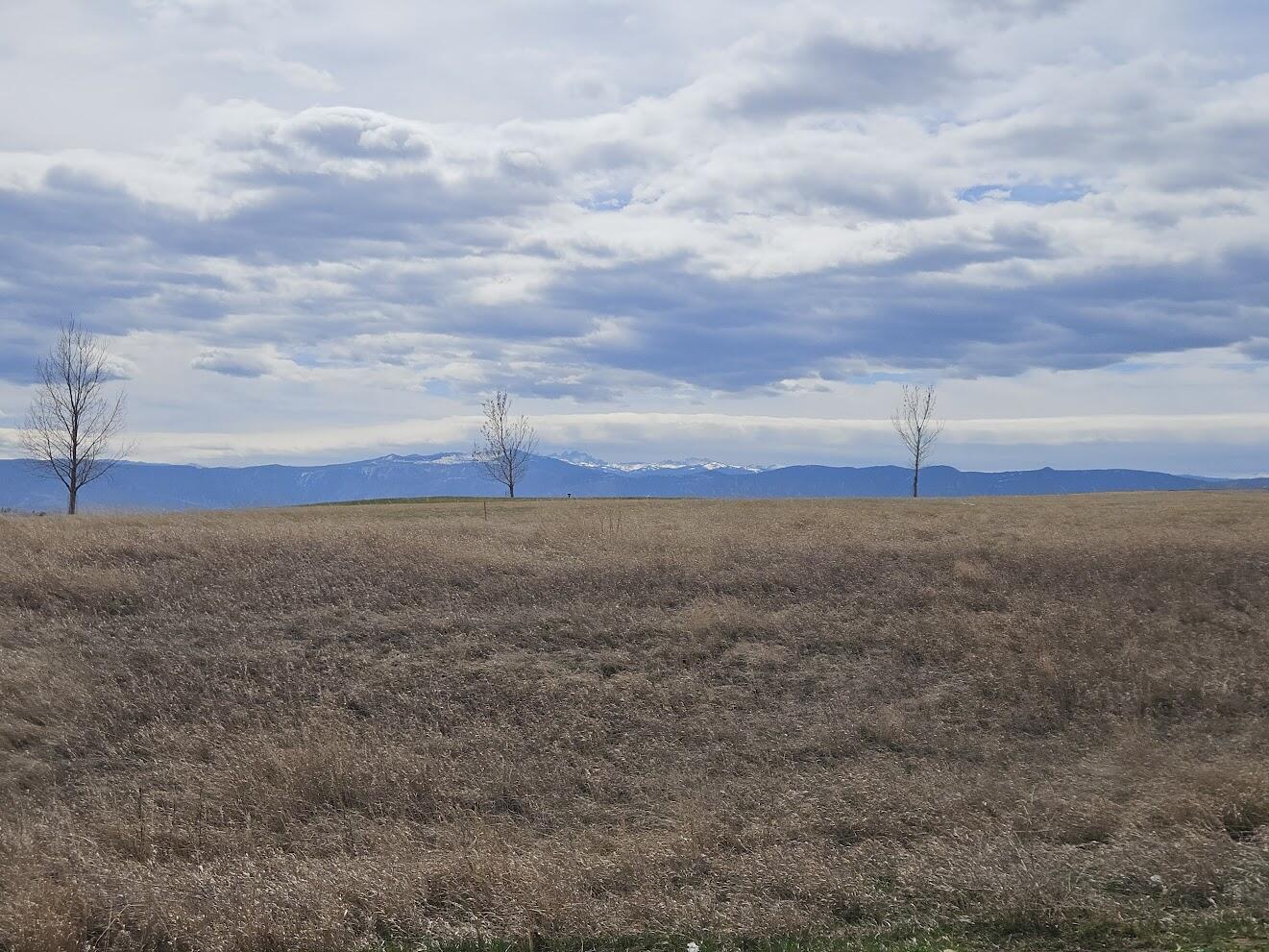 2240 Excalibur Way, Unit HB31) Sheridan, WY 82801 - Photo 28 of 31 20260324_134140