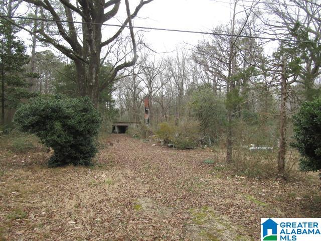 253 Old County Rd 109 Anniston, AL 36201 - Photo 5 of 10