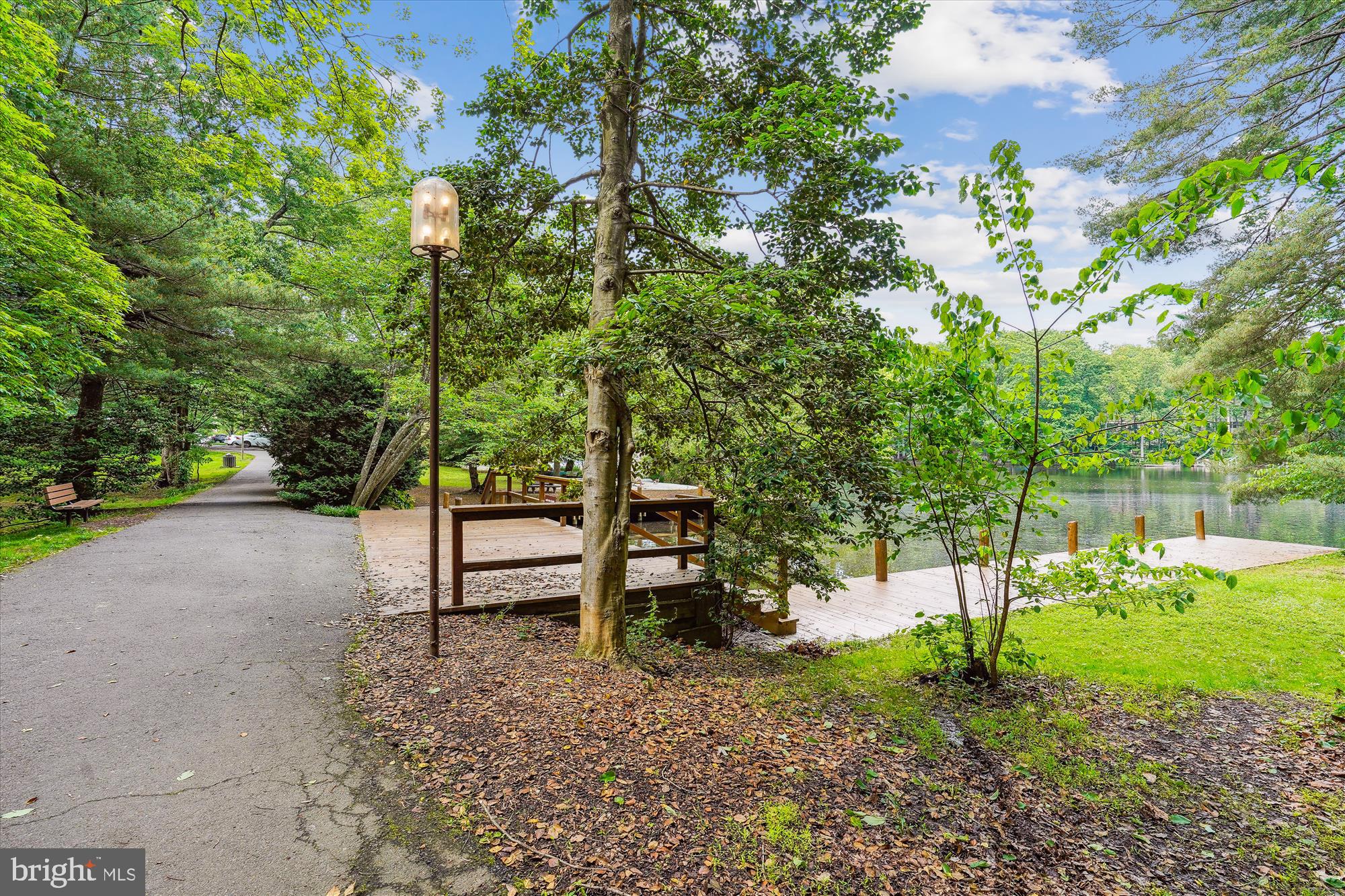 11221 South Shore Road Reston, VA 20190 - Photo 56 of 61 a view of a park with large trees